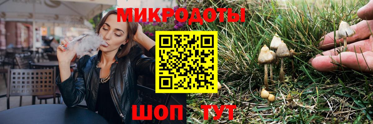 Баксан  Псилоцибиновые грибы прущие грибы  Вход с VPN  хочу наркоту  Галлюциногенные грибы Psilocybe 